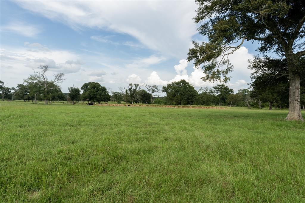 000 Aztec Lane, New Ulm, Texas image 19