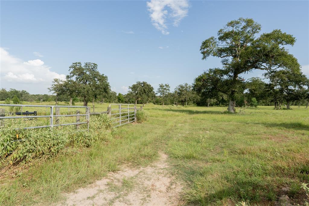 000 Aztec Lane, New Ulm, Texas image 26