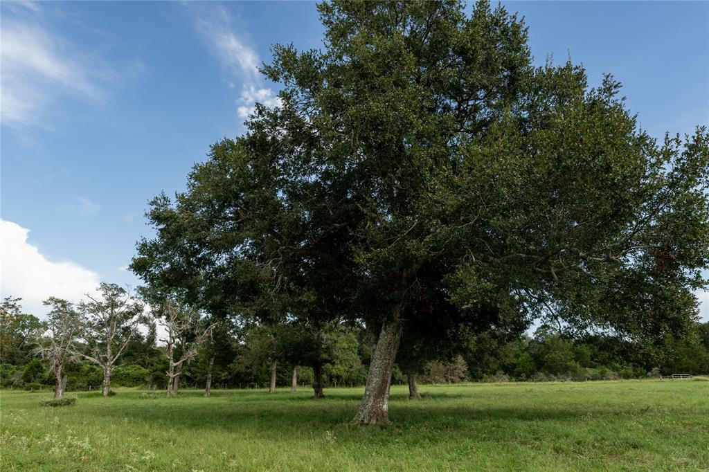 000 Aztec Lane, New Ulm, Texas image 3