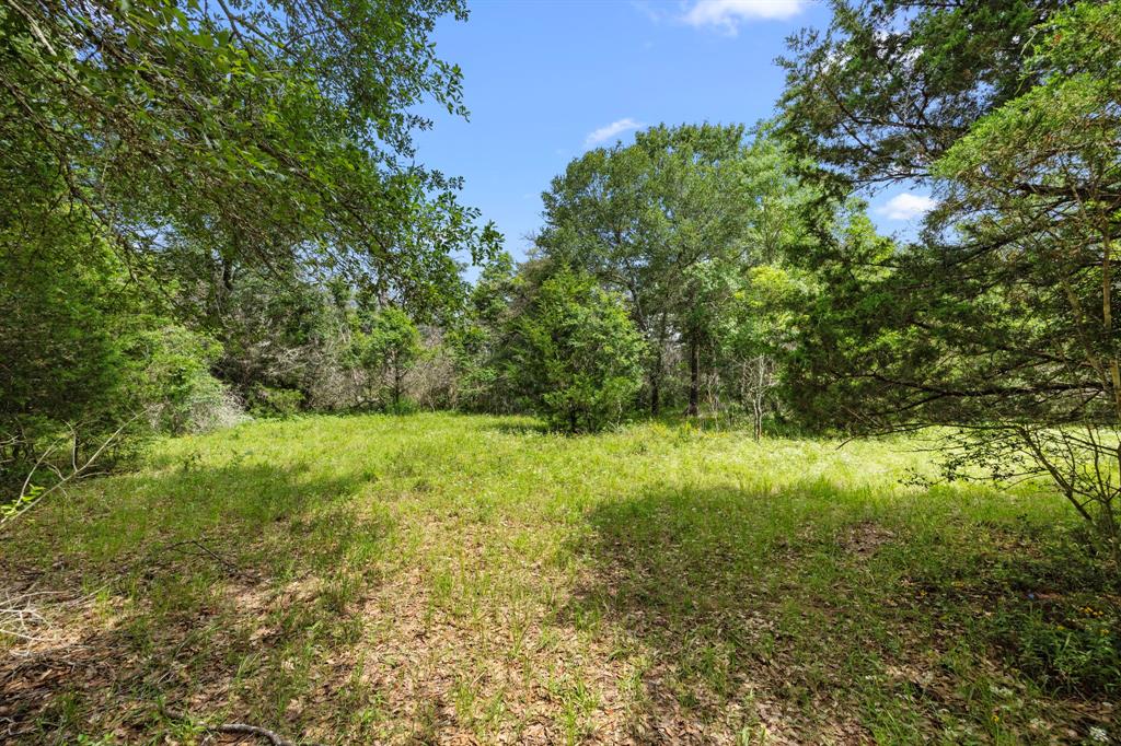 TBD Vogelsang Road, Columbus, Texas image 5