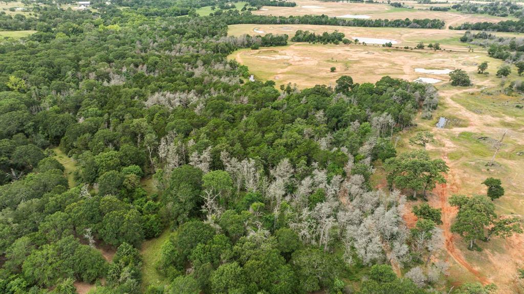 TBD Vogelsang Road, Columbus, Texas image 13