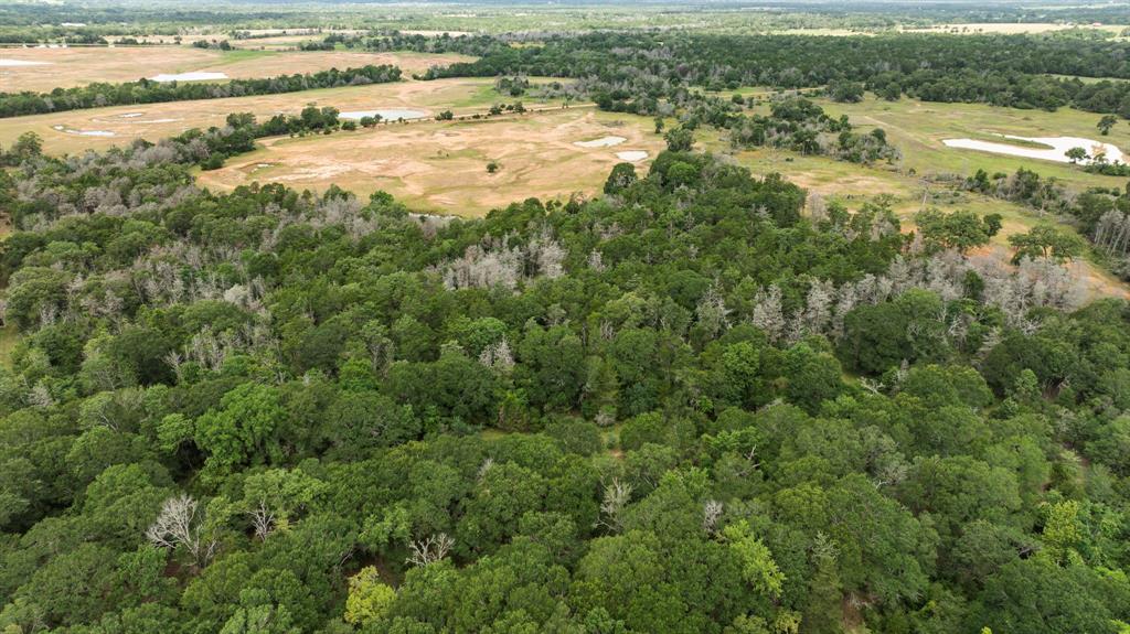TBD Vogelsang Road, Columbus, Texas image 12