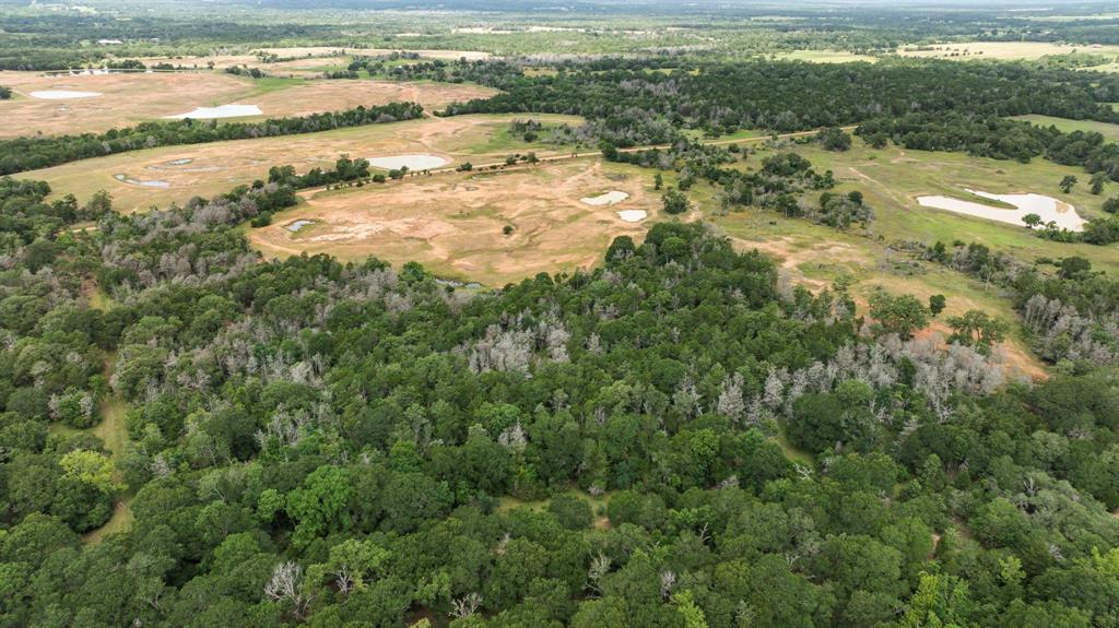 TBD Vogelsang Road, Columbus, Texas image 11