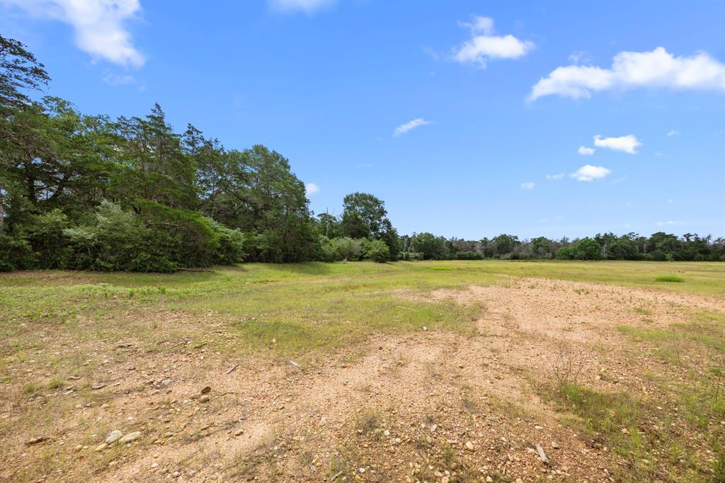 TBD Vogelsang Road, Columbus, Texas image 4