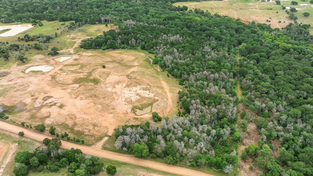 TBD Vogelsang Road, Columbus, Texas image 8