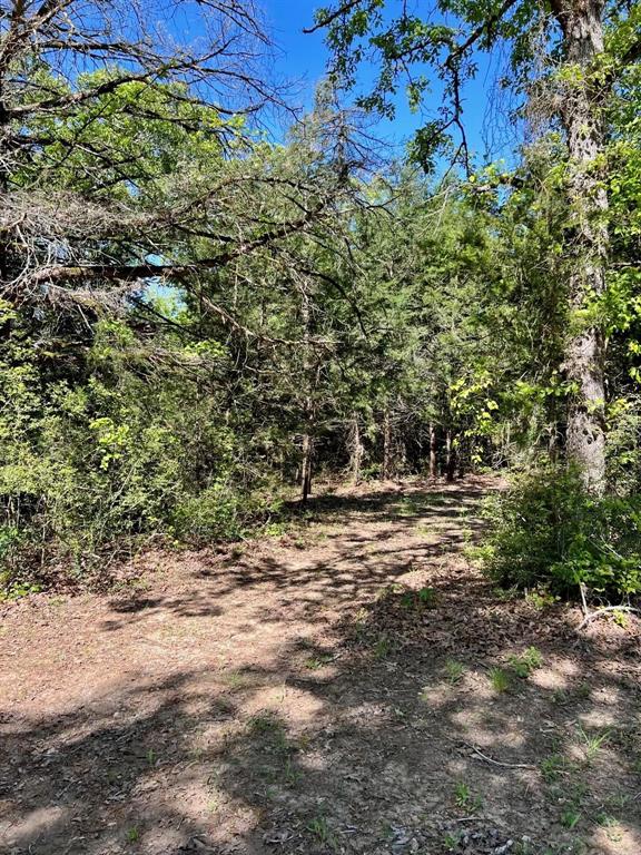 TBD County Road 2761, Buffalo, Texas image 6
