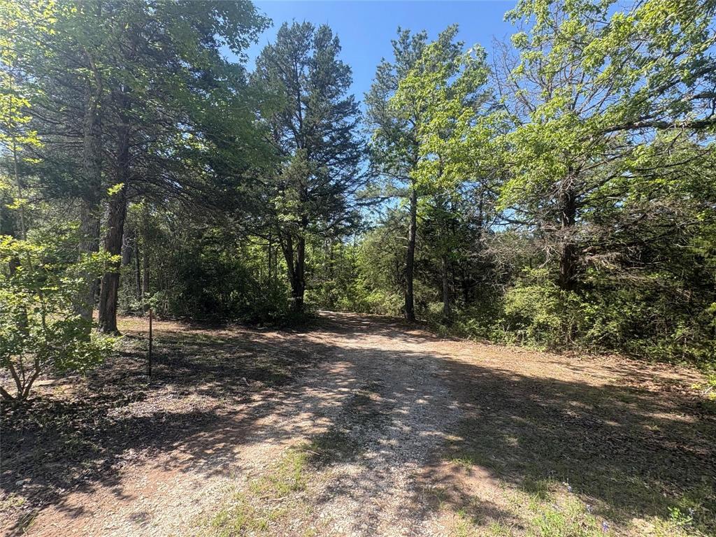 TBD County Road 2761, Buffalo, Texas image 5