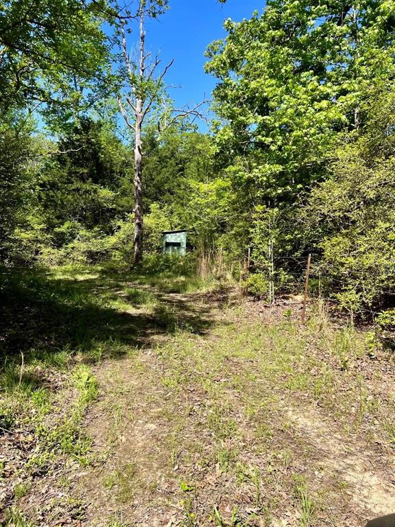 TBD County Road 2761, Buffalo, Texas image 10