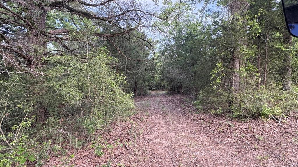 TBD County Road 2761, Buffalo, Texas image 4