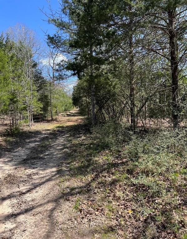 TBD County Road 2761, Buffalo, Texas image 11