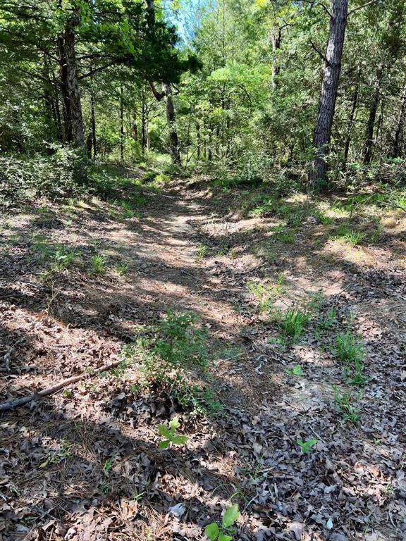 TBD County Road 2761, Buffalo, Texas image 9