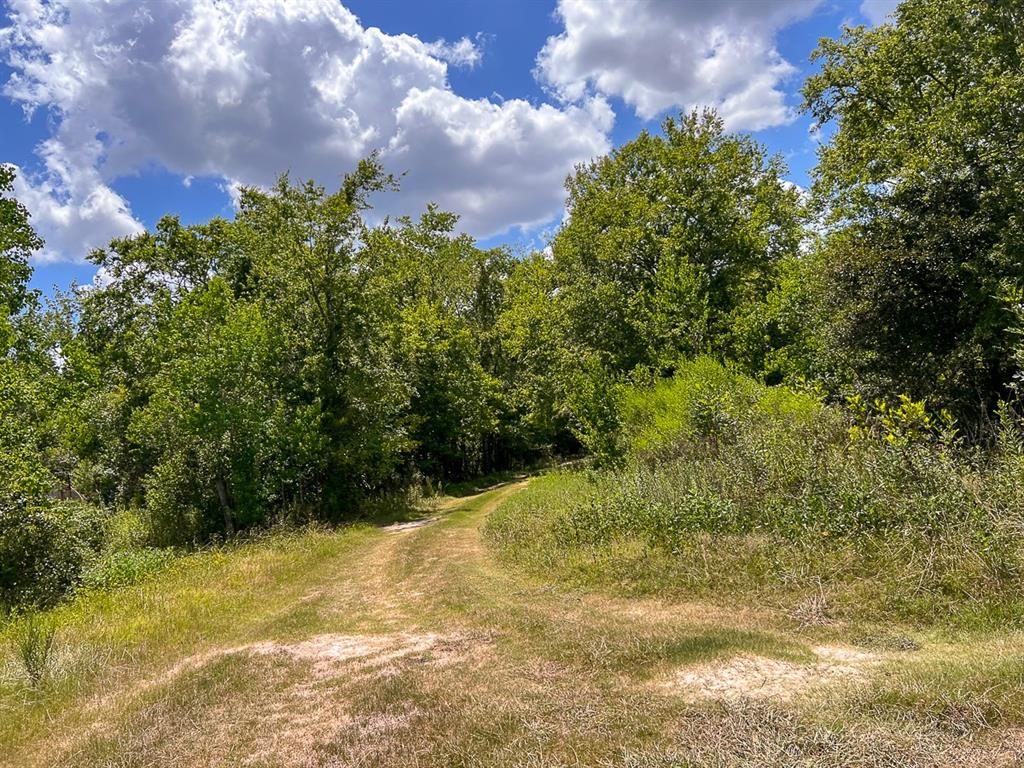 1 Ave C, Batson, Texas image 8
