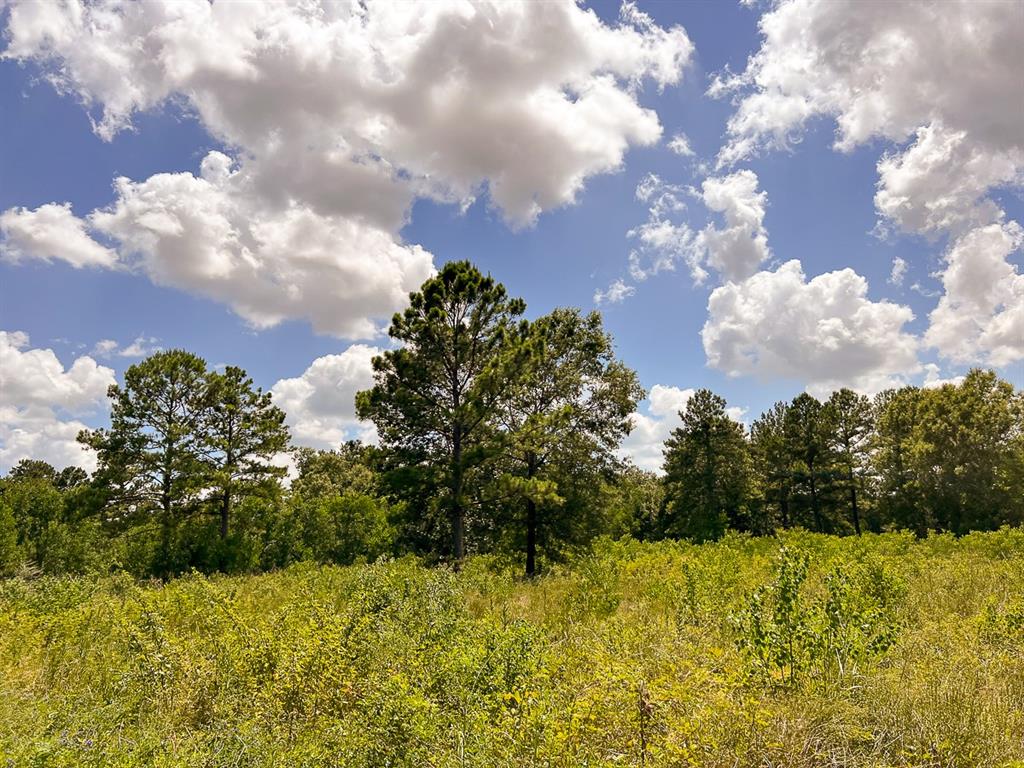 1 Ave C, Batson, Texas image 6