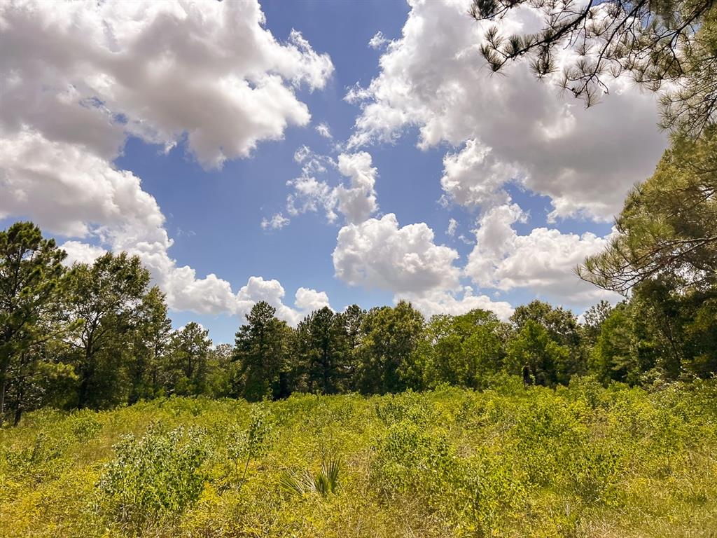 1 Ave C, Batson, Texas image 7