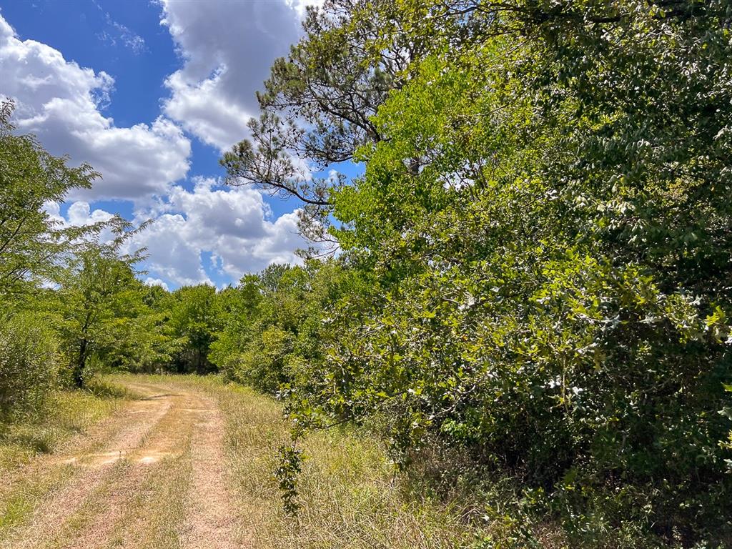 1 Ave C, Batson, Texas image 9