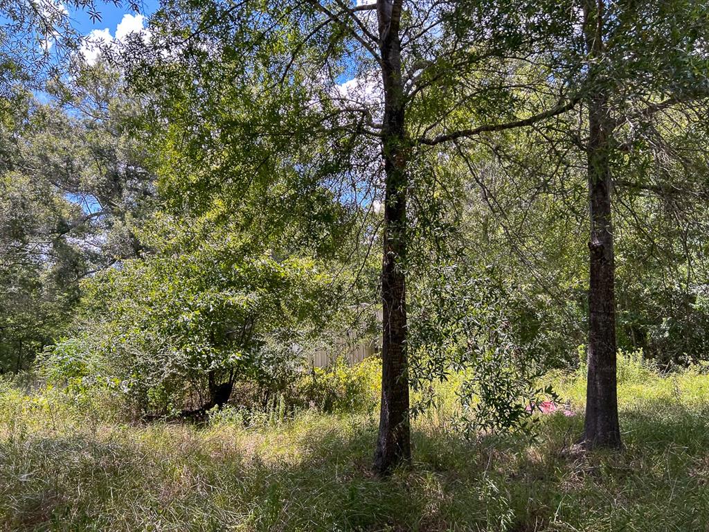 1 Ave C, Batson, Texas image 13