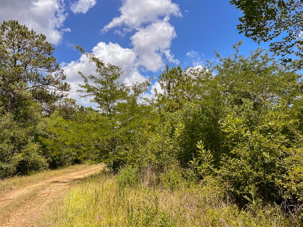 1 Ave C, Batson, Texas image 10