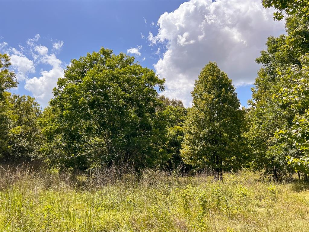 1 Ave C, Batson, Texas image 4