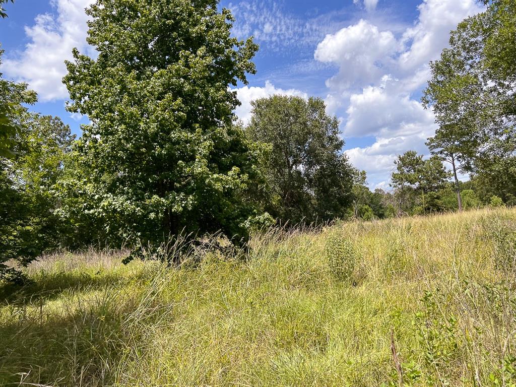 1 Ave C, Batson, Texas image 5