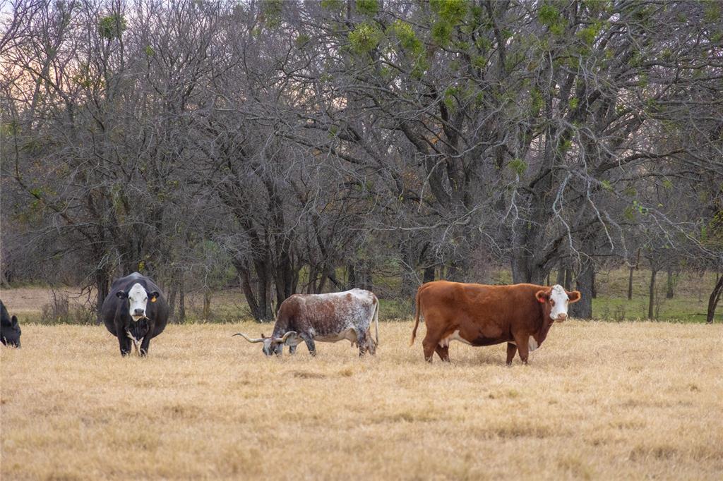 355 County Road 144, Comanche, Texas image 24