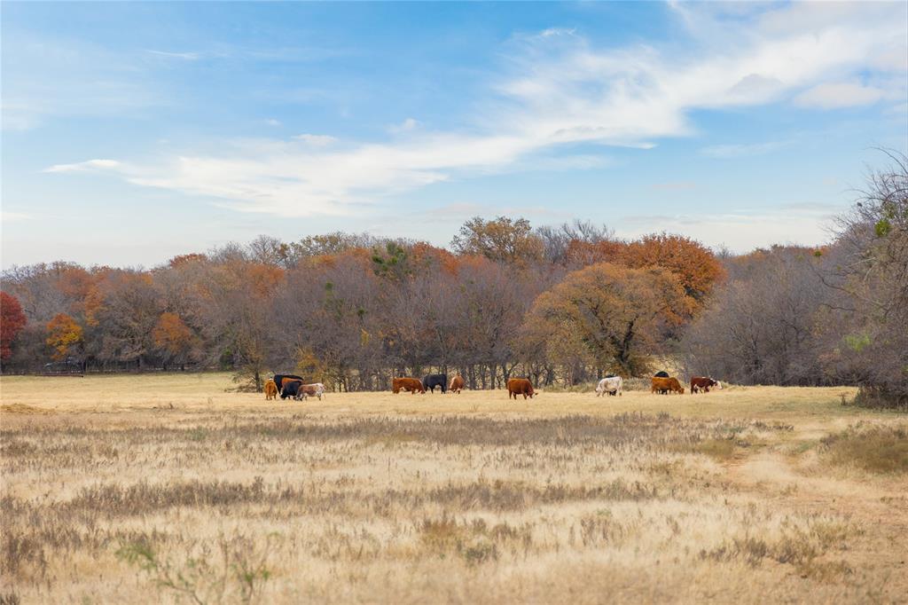 355 County Road 144, Comanche, Texas image 20