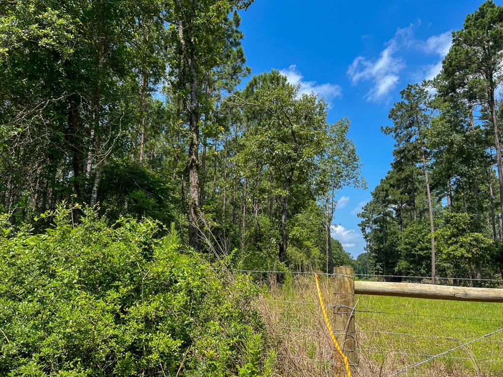 2 Fodice-2 Road, Pennington, Texas image 5
