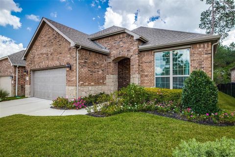 A home in The Woodlands