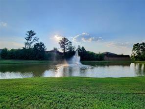 11355 Dawn Beach Lane, Conroe, Texas image 43