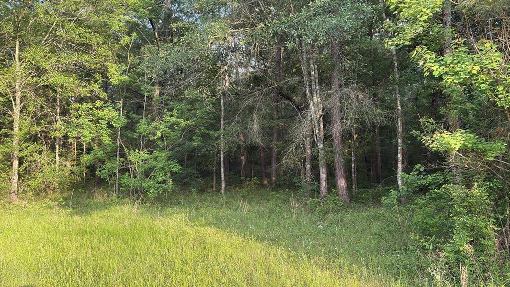8856 Greenwood Drive, Cleveland, Texas image 36