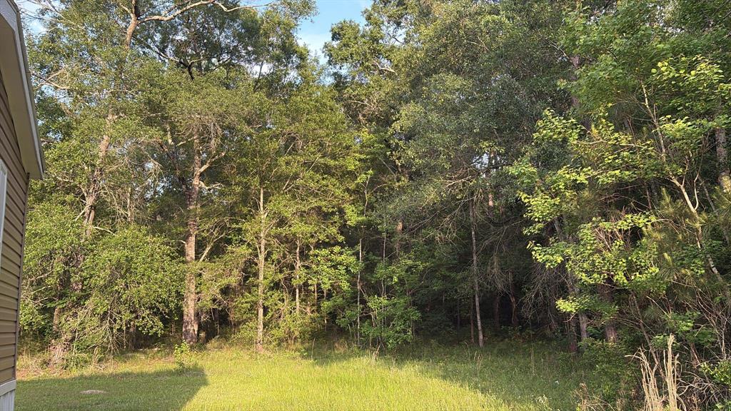 8856 Greenwood Drive, Cleveland, Texas image 39
