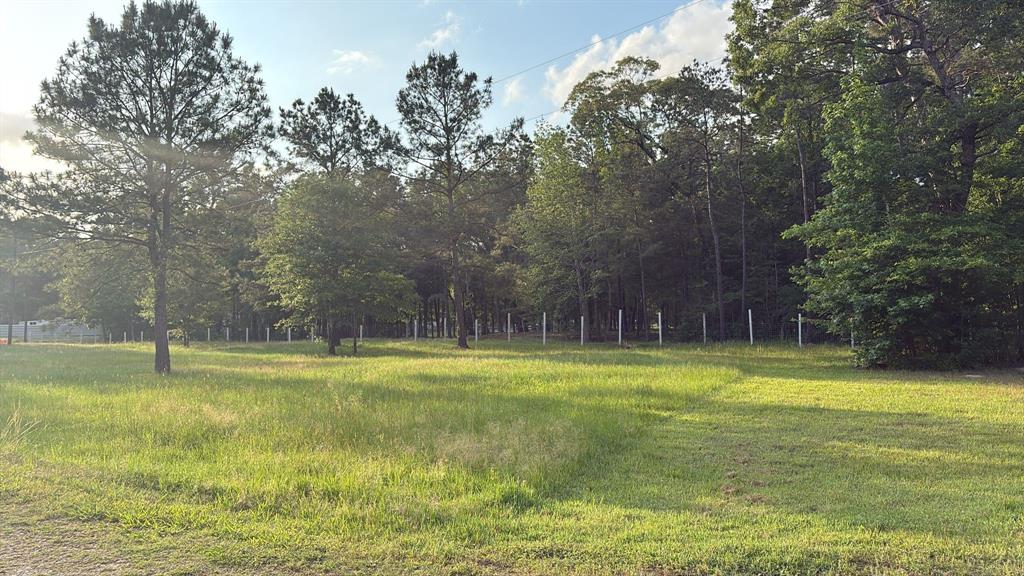 8856 Greenwood Drive, Cleveland, Texas image 40