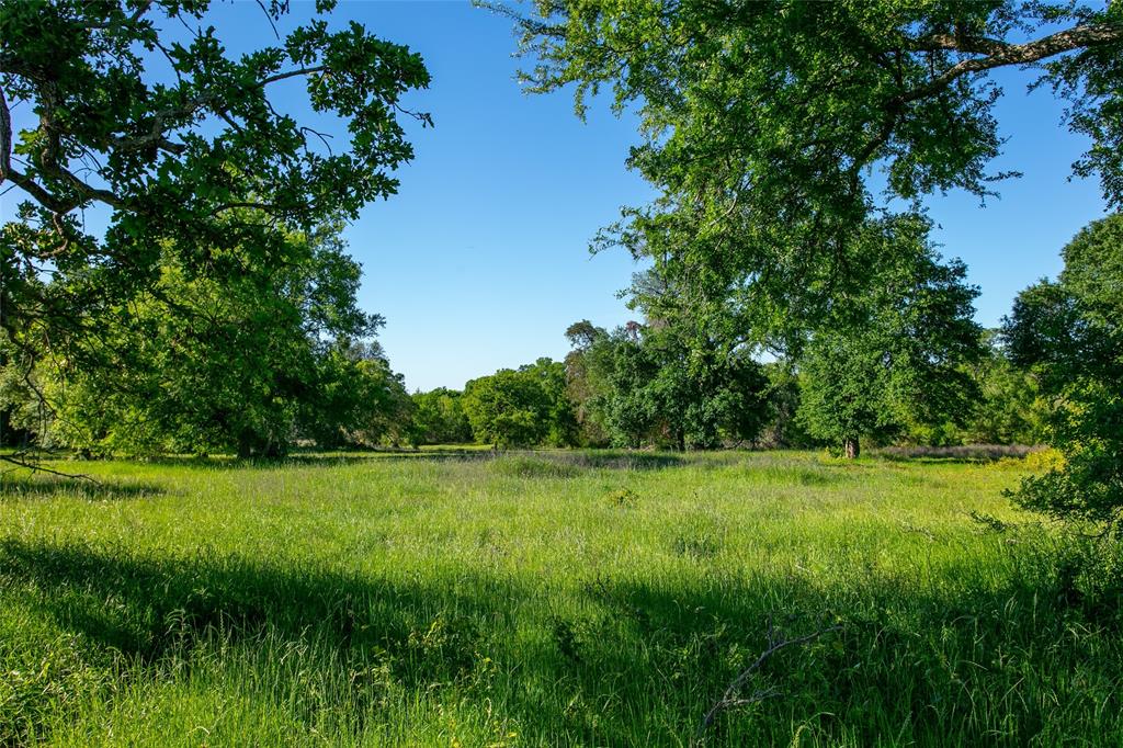 Lot 1 Brazos Court, Caldwell, Texas image 1