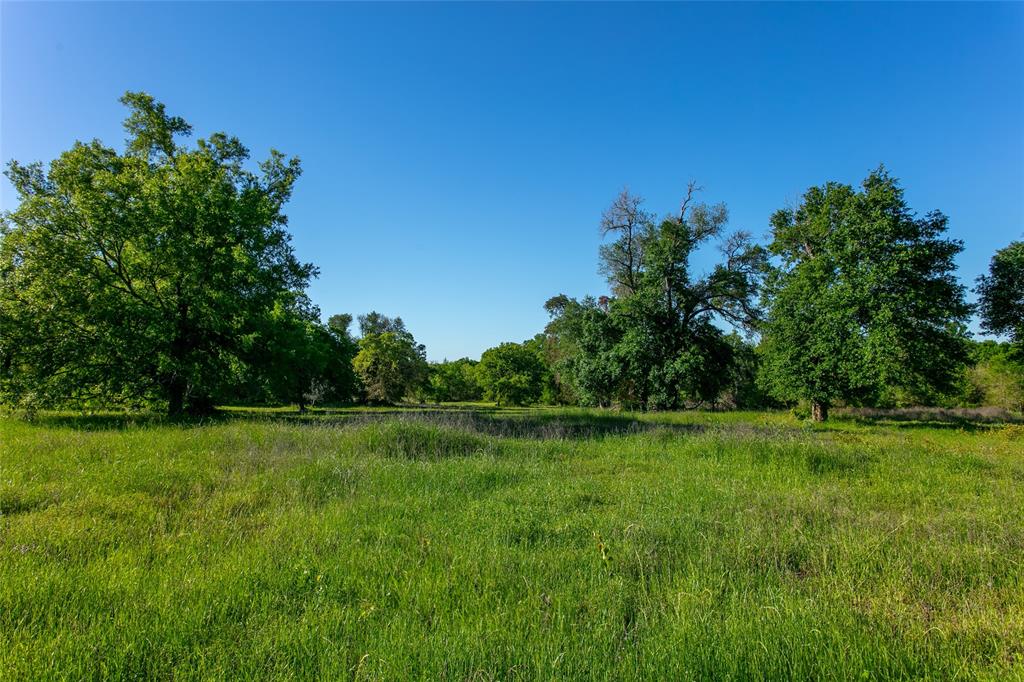 Lot 1 Brazos Court, Caldwell, Texas image 2
