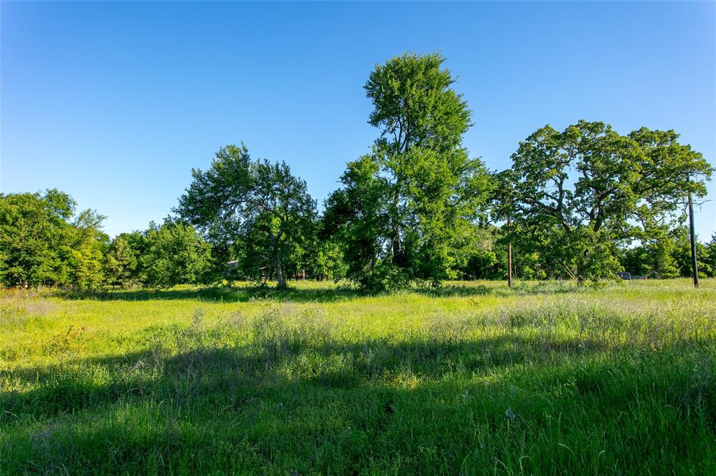 Lot 1 Brazos Court, Caldwell, Texas image 3