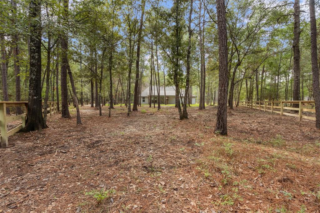 11193 Wildwood Lane, Plantersville, Texas image 8