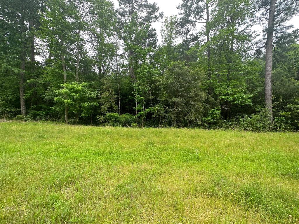 13-33-35 Lonestar Road, Huntsville, Texas image 3