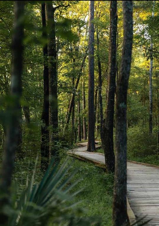 13-33-35 Lonestar Road, Huntsville, Texas image 9