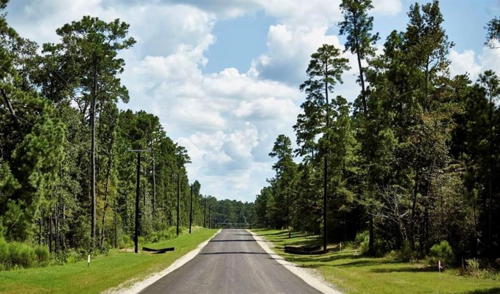 13-33-35 Lonestar Road, Huntsville, Texas image 5