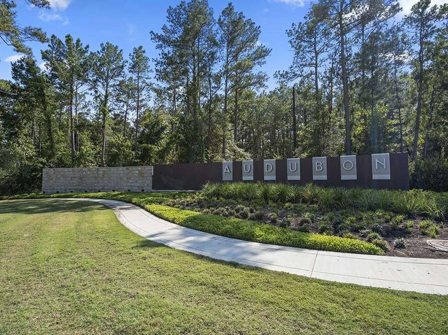 40439 Gerygone Lane, Magnolia, Texas image 22