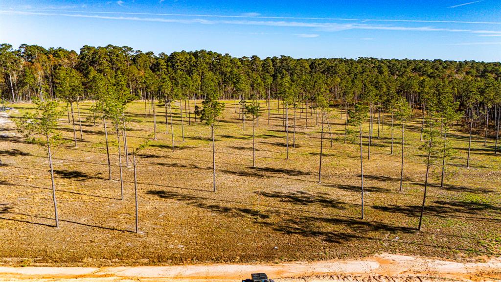 0011 Big Buck Drive, Moscow, Texas image 22