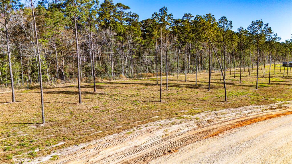 0011 Big Buck Drive, Moscow, Texas image 25