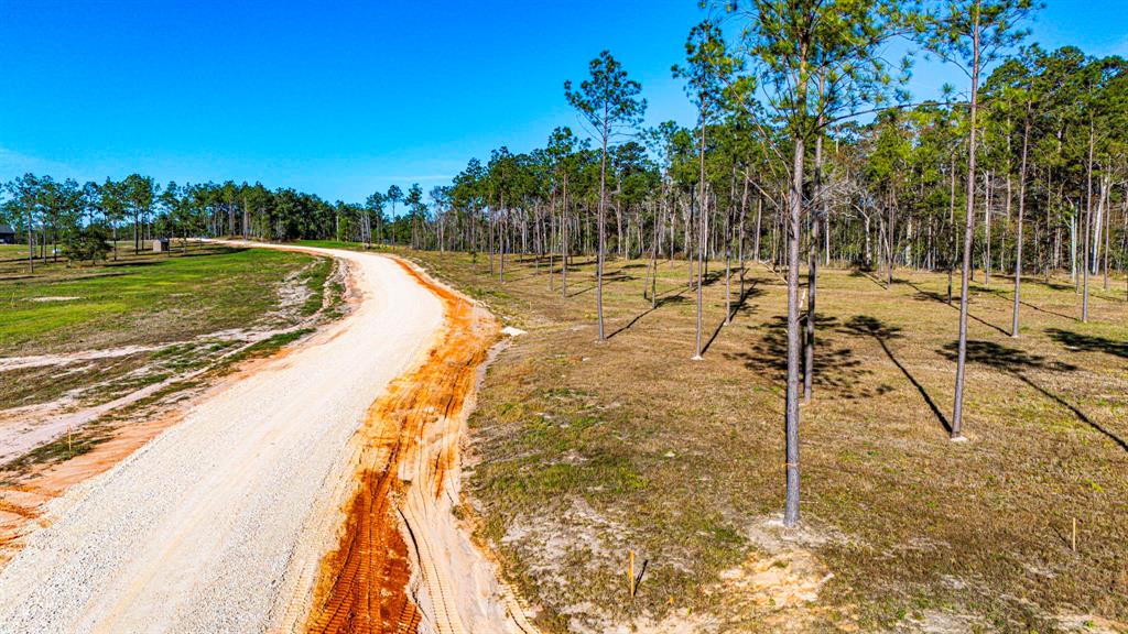 0011 Big Buck Drive, Moscow, Texas image 23