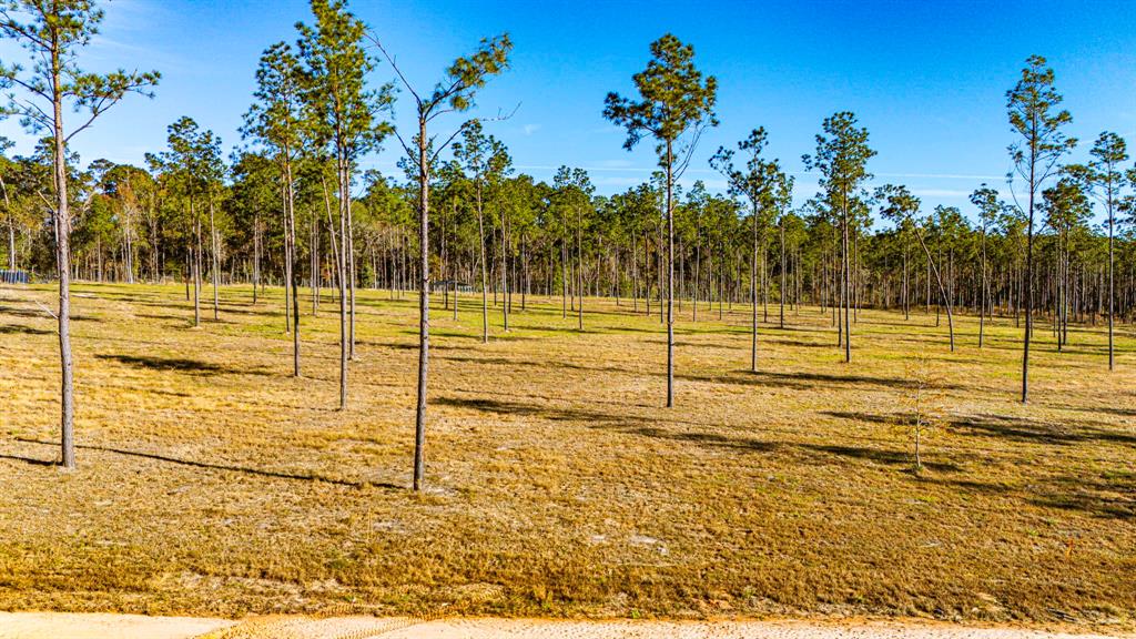 0011 Big Buck Drive, Moscow, Texas image 21