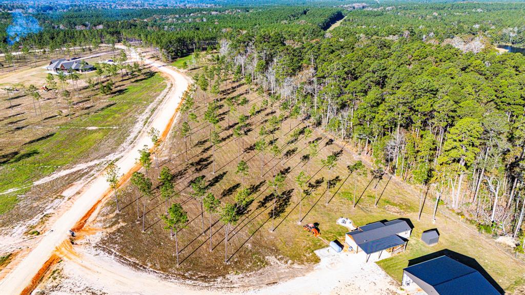 0011 Big Buck Drive, Moscow, Texas image 26