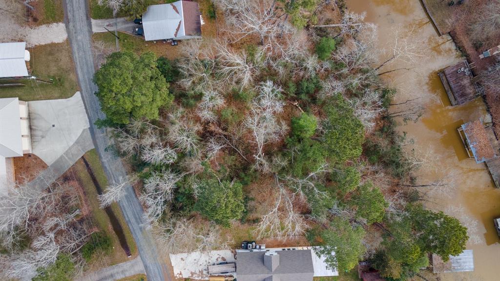 Lot 46 Sunset Drive, Livingston, Texas image 6