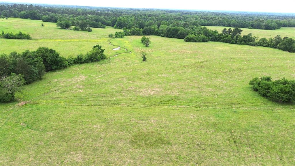 5189 County Road 4550, Pennington, Texas image 18