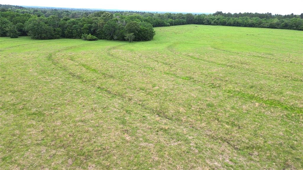 5189 County Road 4550, Pennington, Texas image 12