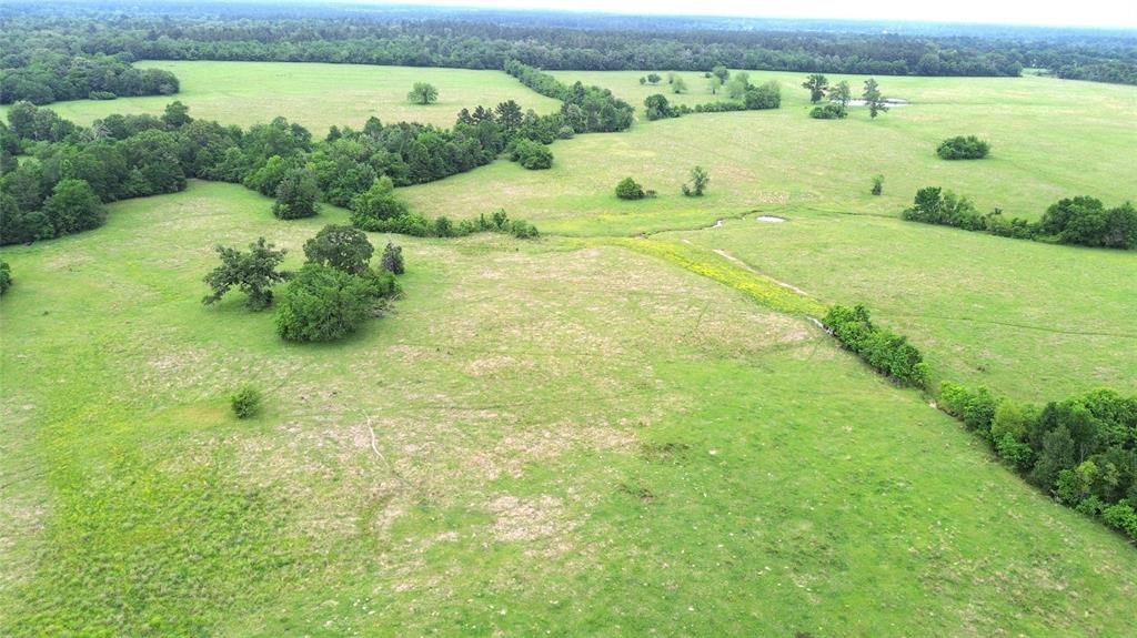 5189 County Road 4550, Pennington, Texas image 8