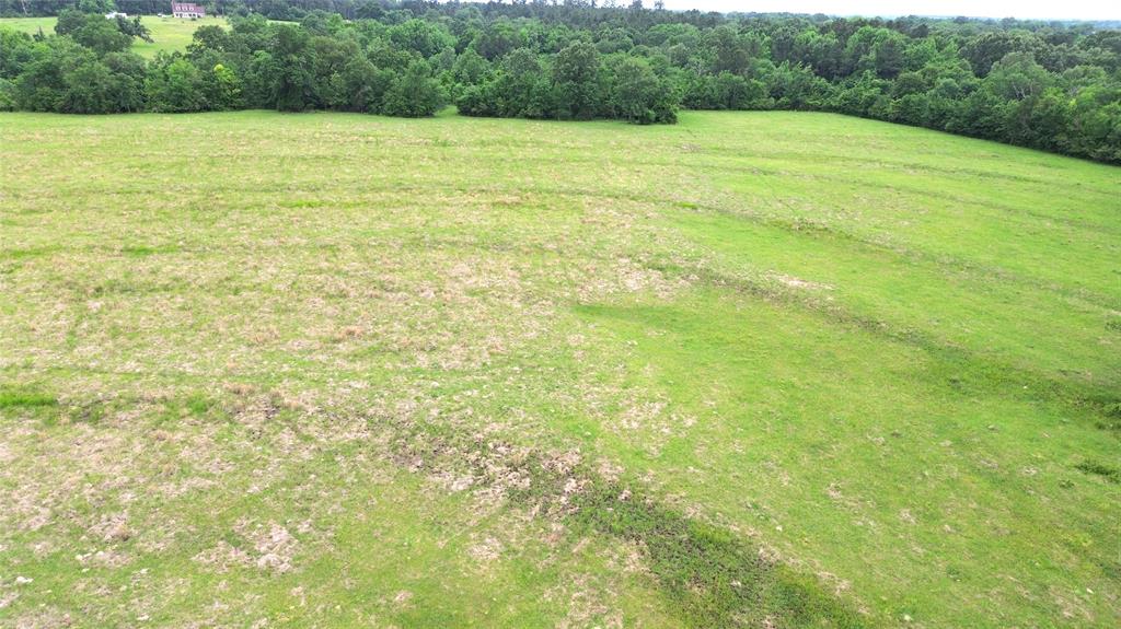 5189 County Road 4550, Pennington, Texas image 15