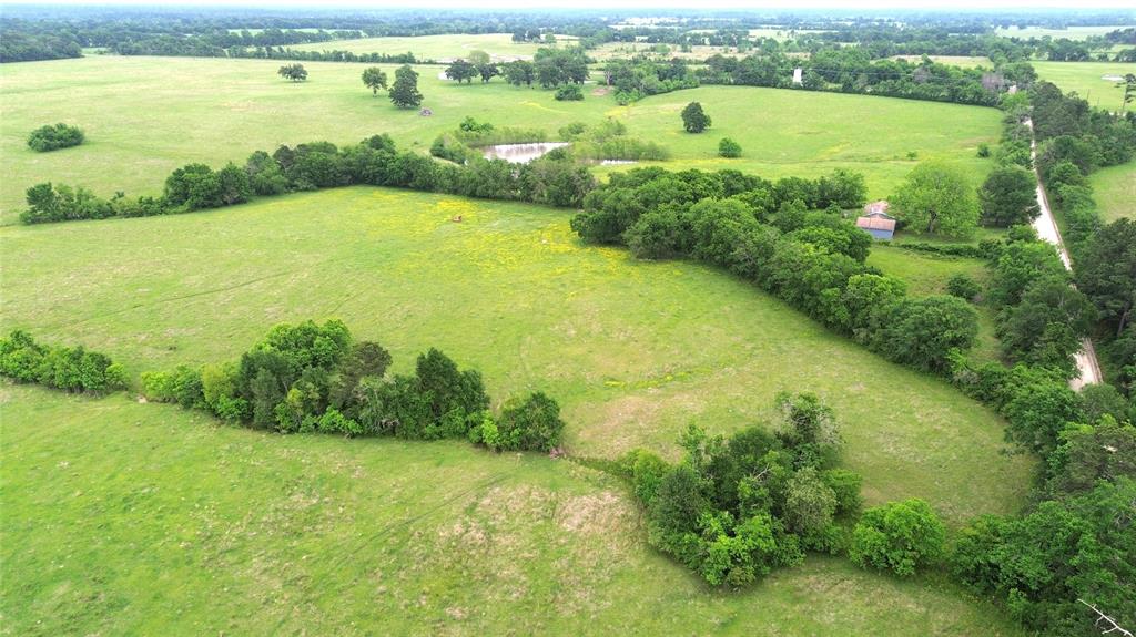5189 County Road 4550, Pennington, Texas image 7
